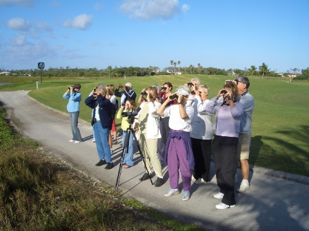 BirdingBahamas.JPG