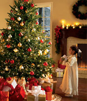 Oh-Christmas-Tree_2.jpg