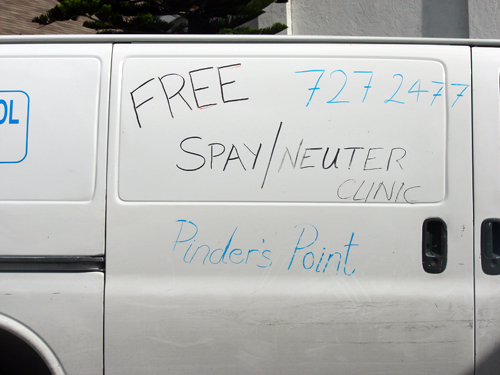 SpayDSC02534.jpg