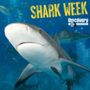 discoverysharkweek.jpg