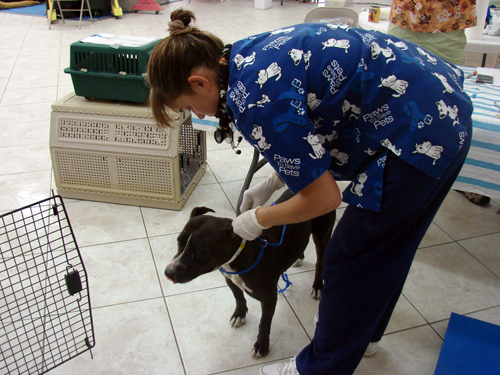 spayDSC02504.jpg