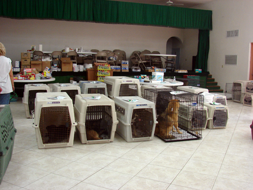 spayDSC02513.jpg