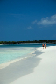 Bahamas_honeymoon_3.jpg