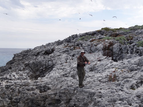 Dr.-Will-Mackin-counting-seabirds.jpg