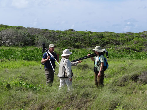 Jeff-Gerbracht_-Cornell-Lab-of-ornightology_-Ann-Sutton_-SCSCB-and-Lisa-Sorenson-_-SCSCB-search-for-wetland-irds-on-Cotton-Cay.jpg