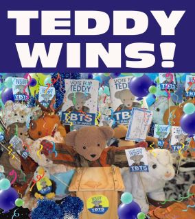 Teddy_wins.jpg