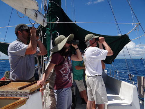 Watching-for-Seabirds.jpg