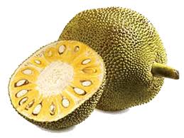 Jack-fruit.jpg