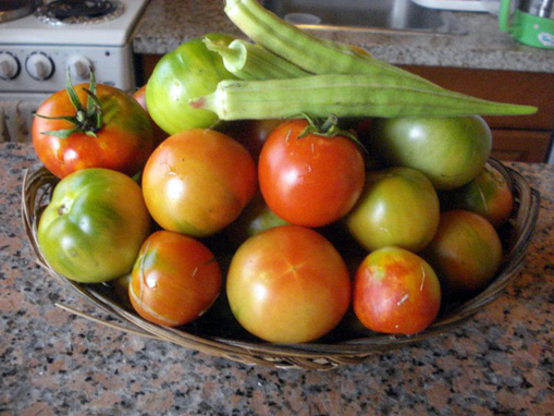 Okra-Tomato.jpg