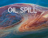 OIL-SPILL.jpg
