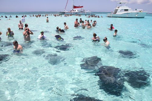 Tourists_with_Stingray_Credit_Guy_Harvey-2.png