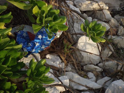 Another_discarded_mylar_balloon__adanger_to_wildlife__on_Williams_Town_Beach__Grand_Bahama_Island__photo_by_Gail_Woon.jpg