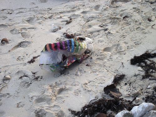 Discarded_mylar_balloon_on_Williams_town_Beach__Grand_Bahama_Island__photo_by_Gail_Woon.jpg