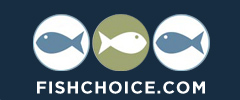 Fish-Choice.jpg