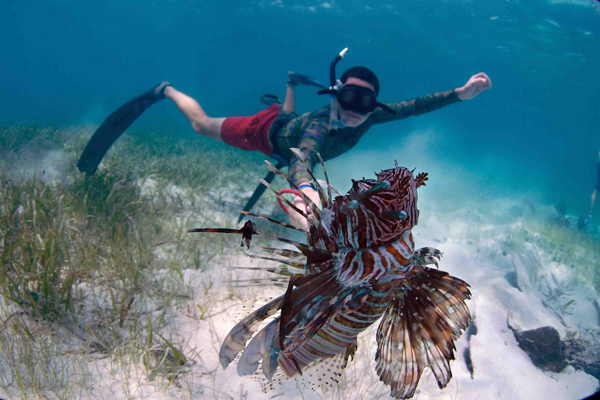  - W-David-Mills-with-Winning-Lionfish-Underwater-photo-by-Duncan-Brake
