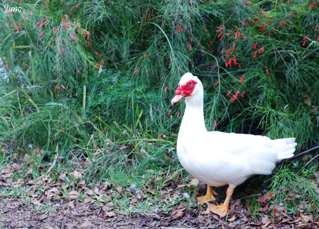 DSC_1692.jpg