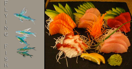 Sushi-FF.jpg