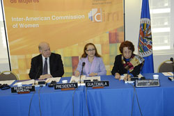 oas-sm.jpg