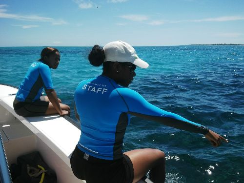 BNT_Staff_Help_With_Coral_Restoration.jpg