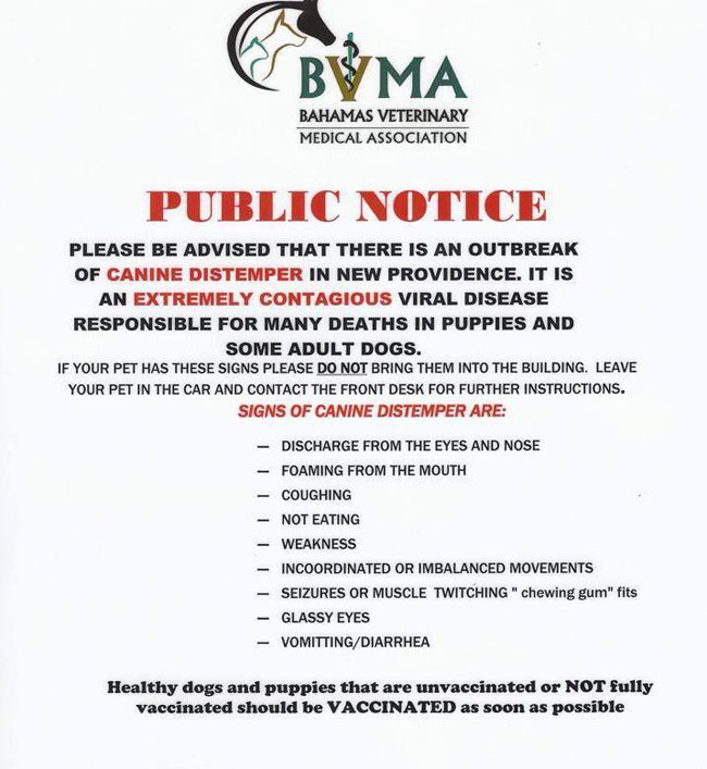 BVMA-Distemper-Advisory.jpg