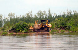 Bulldozing-mangroves-in-Bimini-photo-by-Gail-Woon-EARTHCARE.jpg
