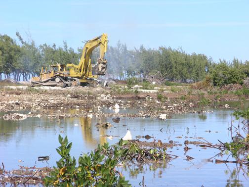 Excavator_in_Bimini-1.jpg