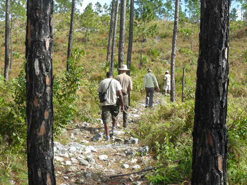 Hike_-Play_-and-Explore-at-Abaco-National-Parks.jpg