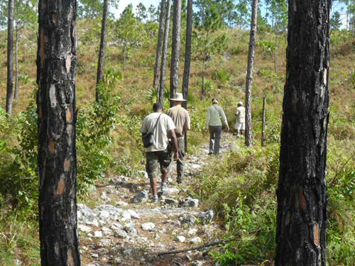 Hike_-Play_-and-Explore-at-Abaco-National-Parks.jpg