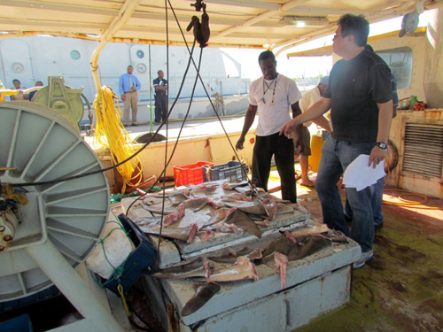 Jamaica-Fisheries-authoriti.jpg