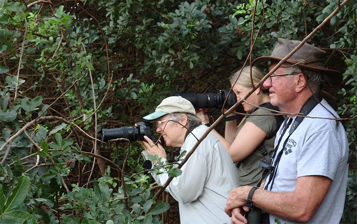 Bird-Count-Cameras.jpg