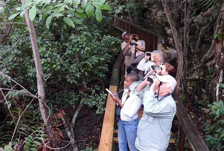 Bird-count-bridge.jpg