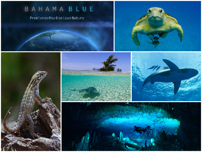 W-Bahama-Blue.jpg