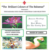 Xmas-Cards.jpg