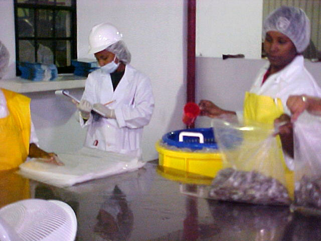 BAHA-monitors-seafood-processing-plants.jpg