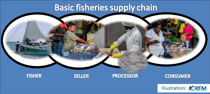 Basic-fisheries-supply-chain.jpg