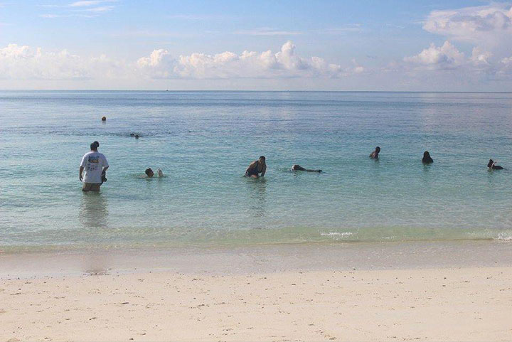 EARTHCARE-Volunteers-hard-at-work-cleaning-marine-debris-----underwater.jpg