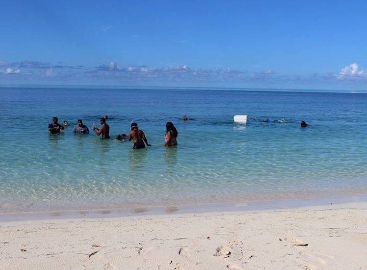 EARTHCARE_Underwater_Cleanup_volunteers_at_work.jpg