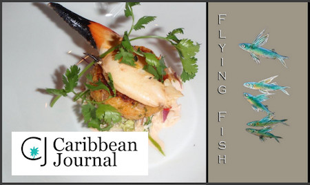 FF-Carib-Journal.jpg