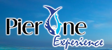 pier-one-newlogo.jpg