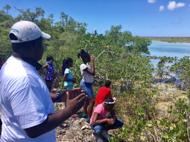 2ND_WEEK_CAMP_ECO_EXPLORER_CAMPERS_STUDYING_MANGROVESr.jpg