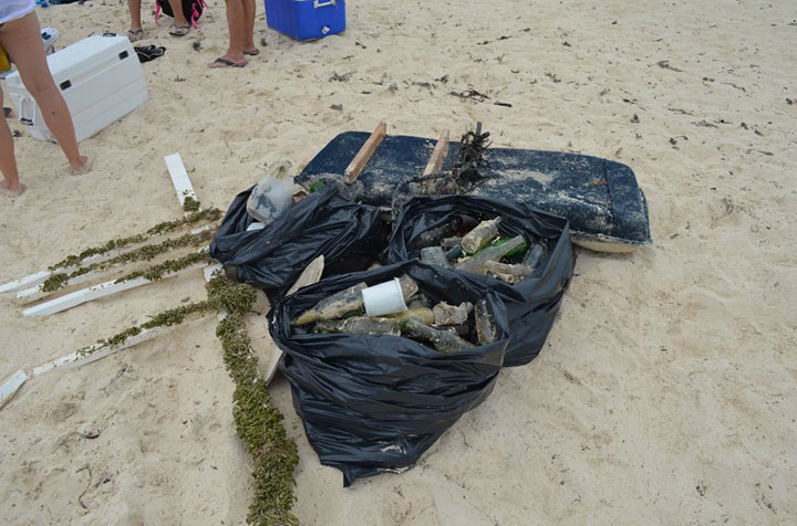 Closeup-of-marine-debris-from-Ryan----Carroll_s-Underwater-cleanup.jpg