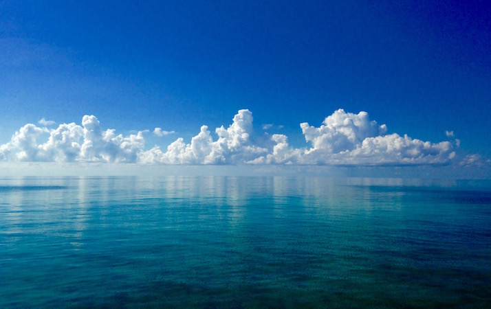 From-Shores-Grand-Bahama-Ryan-Carroll.jpg