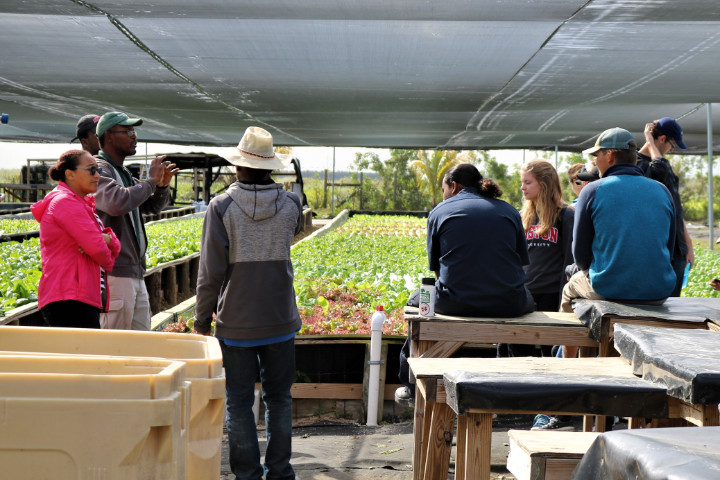 Head_of_BAMSI_s_Marine_Science_division_Dr._Vallierre_Deleveaux_explains_the_process_of_growing_leafy_greens_in_the_hydroponics_unit_1.jpg