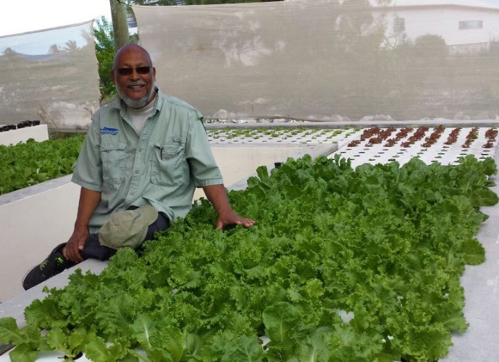 ISLAND_SCHOOL_NOV._2014_JOE_DARVILLE_IN_BED_OF_GREENS_1051_1_.jpg