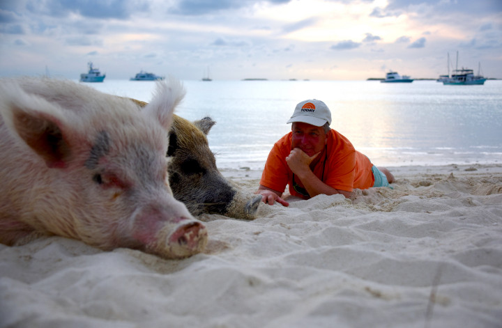 Kerry_Sanders_with_the_Swimming_Pigsrz.jpg