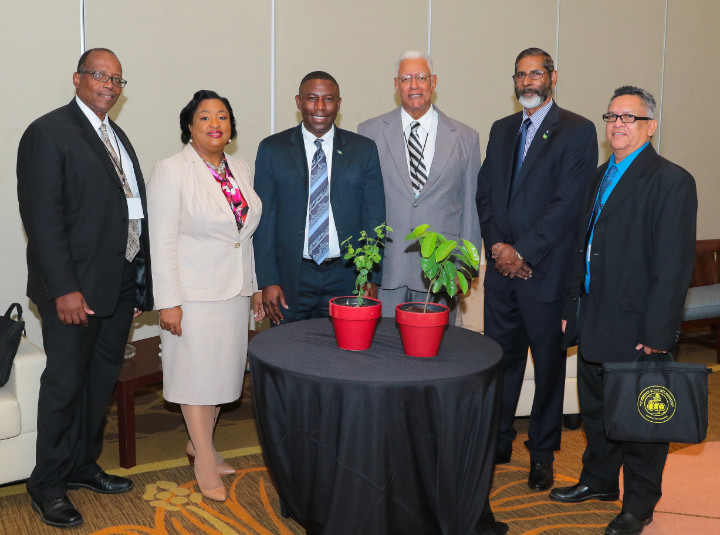 Presentation_of_Plants_to_Minister_Wells_1_.jpg