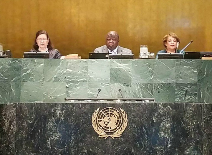 RAHMING_CHAIRING_UN_MEETING__APRIL_7__2017_.jpg