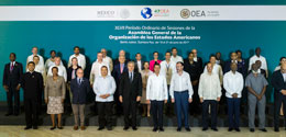 SM-Henfield_Heads_of_Delegation_OAS_2017_1_.jpg