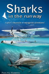 Sharks-in-the-Runway_1_.jpg