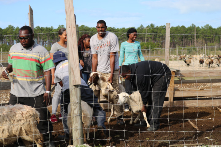 The_students_visit_the_animal_unit_as_well.jpg